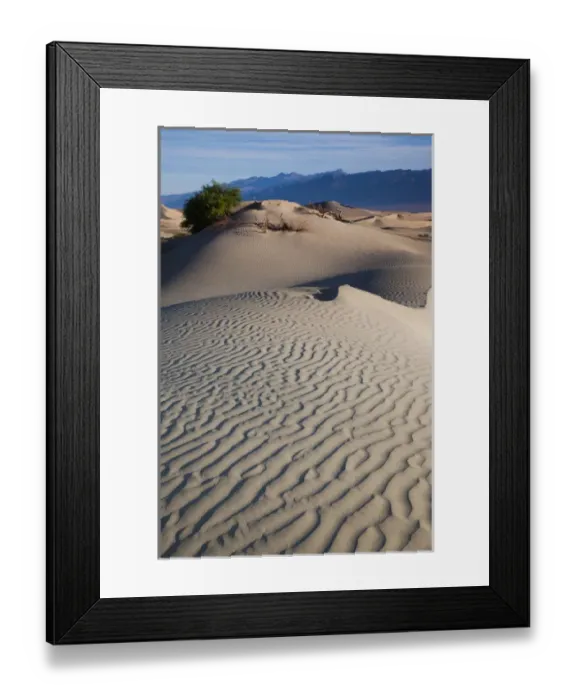Framed Print : USA, California, Death Valley National Park, Mesquite Flat Sand Dunes, dawn