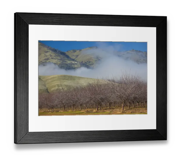 Framed Print : USA, California, Northern California, Northern Mountains, Williams, winter landscape Framed Print : USA, California, Northern California, Northern Mountains, Williams, winter landscape