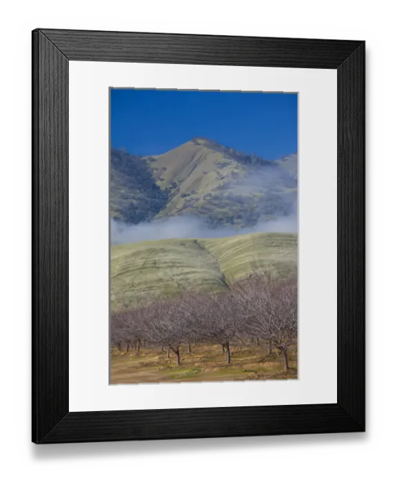 Framed Print : USA, California, Northern California, Northern Mountains, Williams, winter landscape Framed Print : USA, California, Northern California, Northern Mountains, Williams, winter landscape