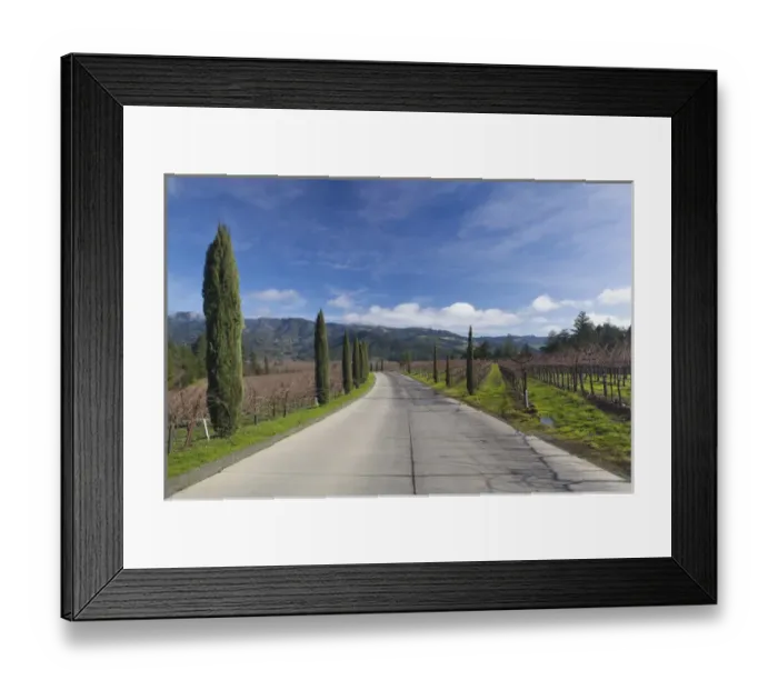 Framed Print : USA, California, Northern California, Napa Valley Wine Country, Calistoga, winery road Framed Print : USA, California, Northern California, Napa Valley Wine Country, Calistoga, winery road