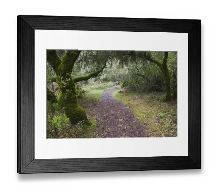 Framed Print : USA, California, Northern California, Sonoma Wine Country, Glen Ellen, Jack London Framed Print : USA, California, Northern California, Sonoma Wine Country, Glen Ellen, Jack London