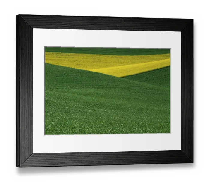 Framed Print : N. A. USA, Washington, Whitman County. Patterns of canola and wheatfields in the Palouse Framed Print : N. A. USA, Washington, Whitman County. Patterns of canola and wheatfields in the Palouse
