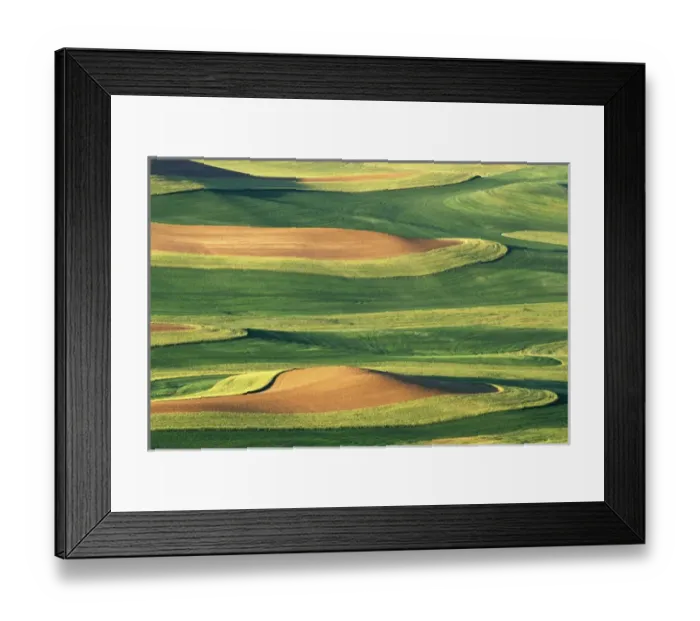 Framed Print : N. A. USA, Washington, Whitman County. Patterns of wheat and fallow from Steptoe Butte Framed Print : N. A. USA, Washington, Whitman County. Patterns of wheat and fallow from Steptoe Butte