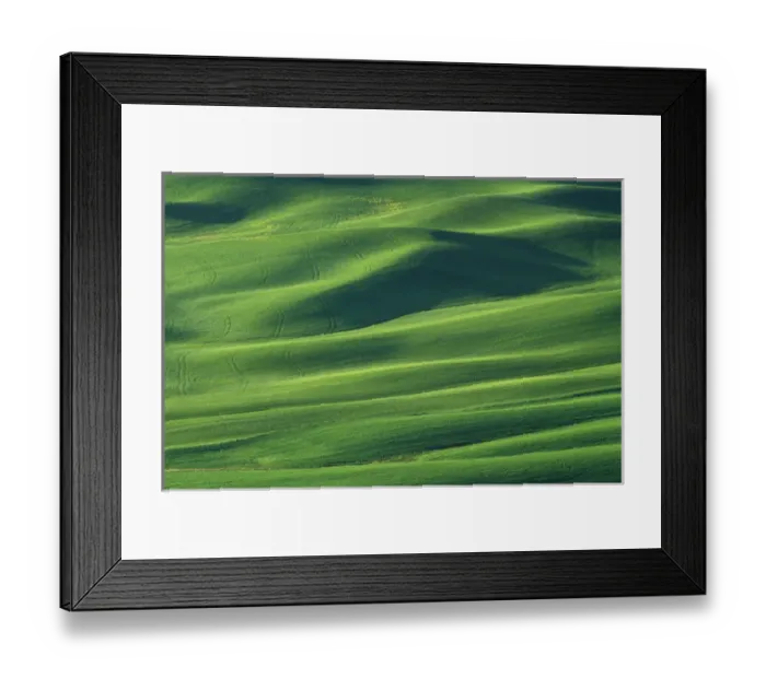 Framed Print : N. A. USA, Washington, Whitman County. Rolling hills of wheat from Steptoe Butte Framed Print : N. A. USA, Washington, Whitman County. Rolling hills of wheat from Steptoe Butte
