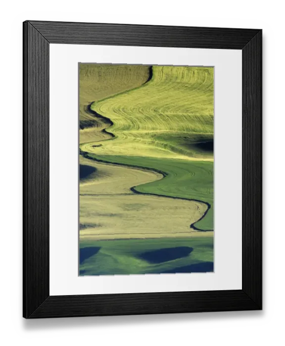 Framed Print : N. A. USA, Washington, Whitman County. Patterns of wheat and fallow from Steptoe Butte Framed Print : N. A. USA, Washington, Whitman County. Patterns of wheat and fallow from Steptoe Butte
