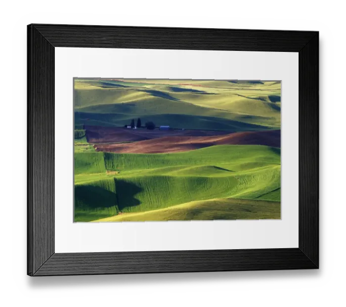 Framed Print : N. A. USA, Washington, Whitman County. Patterns of wheat and fallow from Steptoe Butte Framed Print : N. A. USA, Washington, Whitman County. Patterns of wheat and fallow from Steptoe Butte