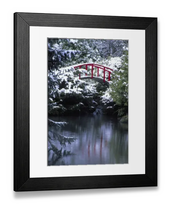 Framed Print : N. A. USA, Washington, Seattle. Moon bridge in Kabota Gardens in winter