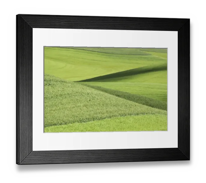 Framed Print : North America, USA, Washington. Patterns in the wheat fields in the Palouse region Framed Print : North America, USA, Washington. Patterns in the wheat fields in the Palouse region