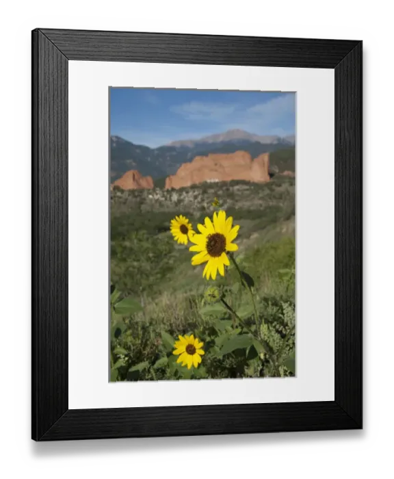 Framed Print : USA, Colorado, Colorado Springs, Garden of the Gods Natural Monument & park. 1, 300 Framed Print : USA, Colorado, Colorado Springs, Garden of the Gods Natural Monument & park. 1, 300