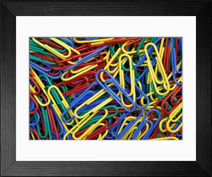 Framed Print : North America, USA, WA, Redmond paperclips Framed Print : North America, USA, WA, Redmond paperclips