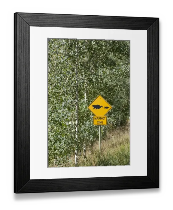 Framed Print : North America - USA - Colorado - Rocky Mountains - Sign on road to Maroon Bells near Framed Print : North America - USA - Colorado - Rocky Mountains - Sign on road to Maroon Bells near