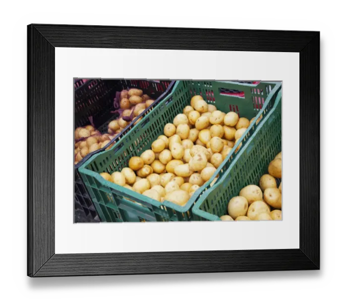 Framed Print : WA, Redmond, Redmond Farmers Market / Redmond Saturday Market Framed Print : WA, Redmond, Redmond Farmers Market / Redmond Saturday Market