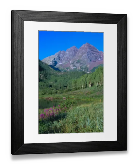 Framed Print : Aspens and fireweed with Maroon Bells in background and Maroon Lake in the foreground Framed Print : Aspens and fireweed with Maroon Bells in background and Maroon Lake in the foreground