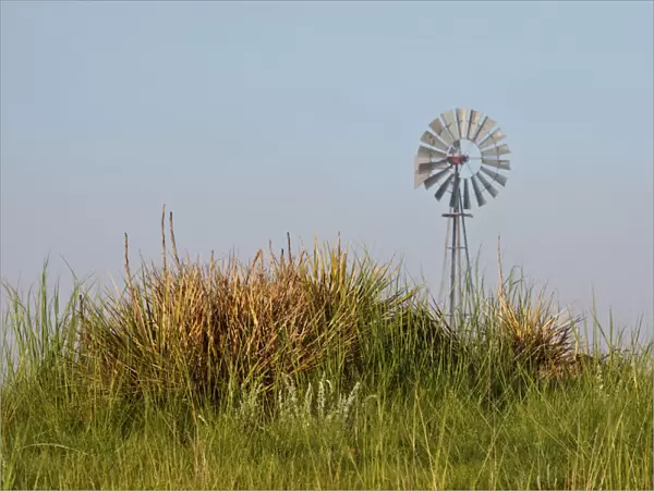 windmill in the Pawnee National Grasslands, eastern Colorado, USA