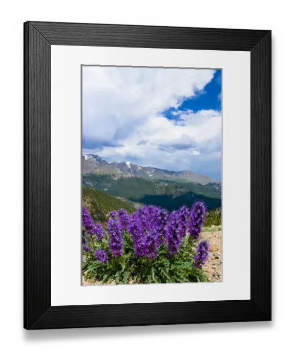 Framed Print : Rocky Mountain National Park is a destination for vacationers from all over the world Framed Print : Rocky Mountain National Park is a destination for vacationers from all over the world