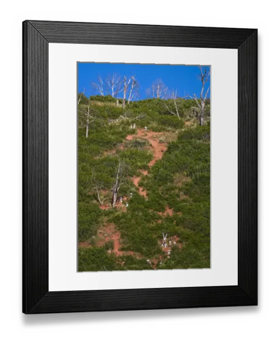 Framed Print : Near Glennword Springs, CO, the sight of the 1994 Storm King Mountain wildfire that Framed Print : Near Glennword Springs, CO, the sight of the 1994 Storm King Mountain wildfire that