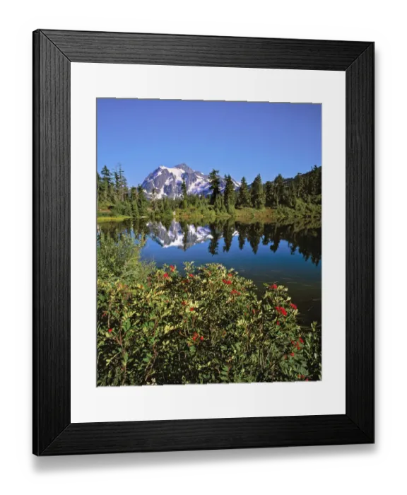 Framed Print : USA, Washington State, Mt Shuksan. Reflection Lake in Washington States North Framed Print : USA, Washington State, Mt Shuksan. Reflection Lake in Washington States North