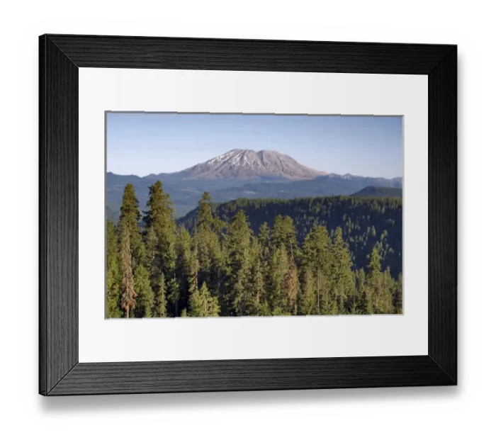 Framed Print : USA, Washington State, Mt St Helens. Mt. St. Helens as seen from McClellan overlook Framed Print : USA, Washington State, Mt St Helens. Mt. St. Helens as seen from McClellan overlook