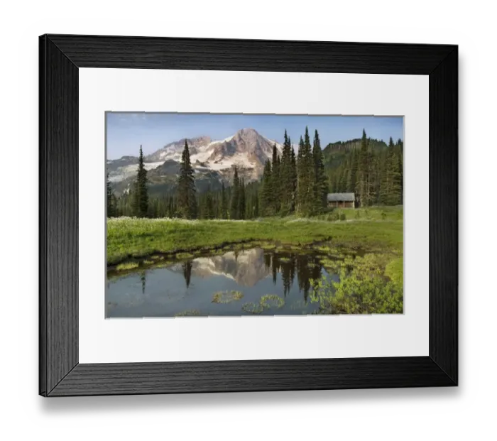 Framed Print : Wildflowers below the peak of Mount Rainier. A ptrol cabin near Indian Henry s