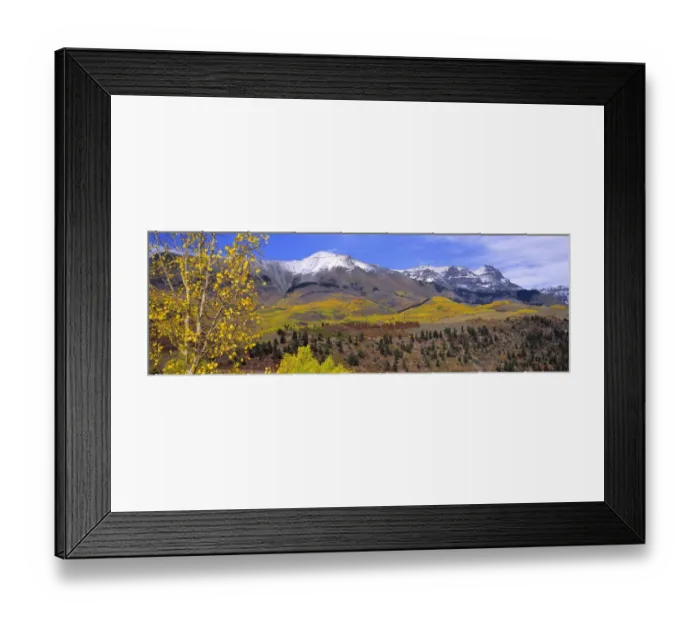 Framed Print : USA, Colorado, Telluride. Aspen forest reach far into the San Juan Mountains near Telluride Framed Print : USA, Colorado, Telluride. Aspen forest reach far into the San Juan Mountains near Telluride