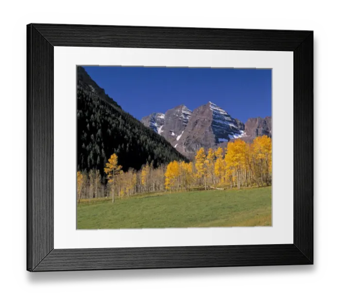Framed Print : USA, Colorado, Maroon Bells. The vibrant gold of this aspen forest contrasts with a lapis sky Framed Print : USA, Colorado, Maroon Bells. The vibrant gold of this aspen forest contrasts with a lapis sky