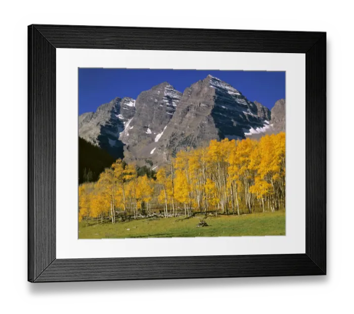Framed Print : USA, Colorado, Maroon Bells. A golden aspen forest softens the stark, grey peaks of Maroon Bells