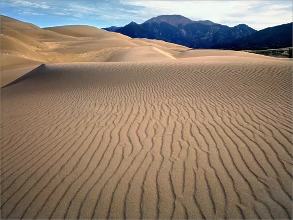 USA, Colorado, Great Sand Dunes NM. Ripples create interesting patterns in the dunes