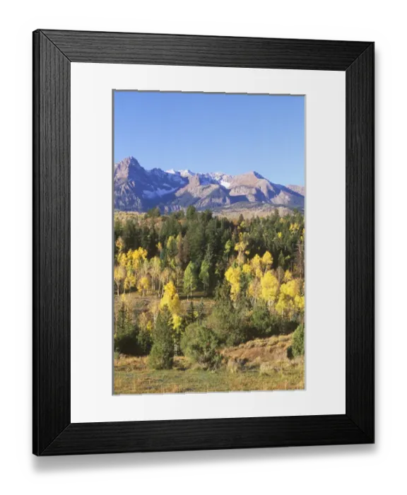 Framed Print : San Juan Mountains, Uncompahgre NF, CO, USA Framed Print : San Juan Mountains, Uncompahgre NF, CO, USA