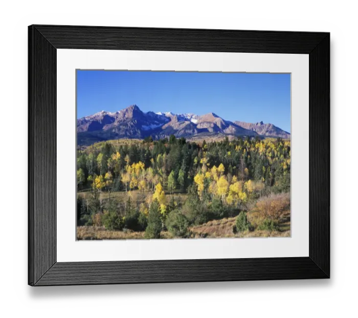 Framed Print : USA, Colorado, Uncompahgne NF, San Juan Mountains with Autumn Color