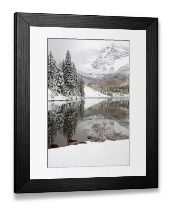 Framed Print : North America, USA, Colorado, Maroon Bells, Snow Covered Aspens and Firs With Reflections Framed Print : North America, USA, Colorado, Maroon Bells, Snow Covered Aspens and Firs With Reflections
