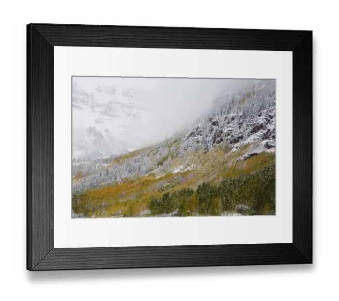 Framed Print : North America, USA, Colorado, Maroon Bells, Snow Covered Aspens and Firs Framed Print : North America, USA, Colorado, Maroon Bells, Snow Covered Aspens and Firs