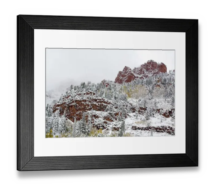 Framed Print : North America, USA, Colorado, Maroon Bells, Snow Covered Aspens and Firs Framed Print : North America, USA, Colorado, Maroon Bells, Snow Covered Aspens and Firs
