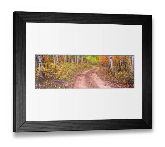 Framed Print : NA, USA, Colorado, Kebler Pass, Aspen Grove Autumn Color Framed Print : NA, USA, Colorado, Kebler Pass, Aspen Grove Autumn Color