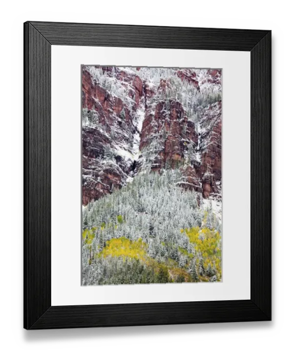 Framed Print : North America, USA, Colorado, First Snow over the Red Cliffs and Aspens of Redstone Framed Print : North America, USA, Colorado, First Snow over the Red Cliffs and Aspens of Redstone