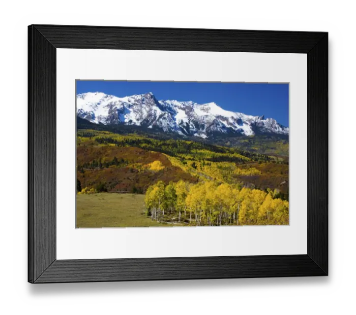 Framed Print : North America, USA, Colorado, Sneffells Range with Autumn Aspens and Snow capped Mountains