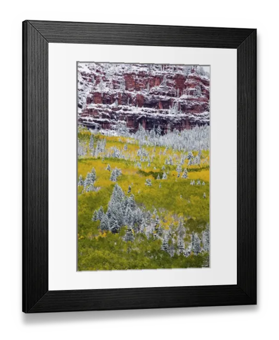 Framed Print : North America, USA, Colorado, First Snow over the Red Cliffs and Aspens of Redstone Framed Print : North America, USA, Colorado, First Snow over the Red Cliffs and Aspens of Redstone