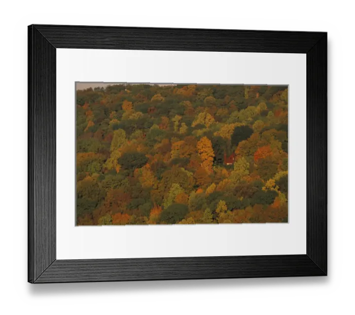 Framed Print : View from the Henderson property. The fall colors of the oak-hickory forest in Connecticut s Framed Print : View from the Henderson property. The fall colors of the oak-hickory forest in Connecticut s