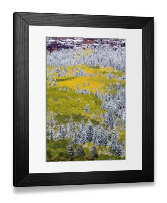 Framed Print : North America, USA, Colorado, First Snow over the Red Cliffs and Aspens of Redstone Framed Print : North America, USA, Colorado, First Snow over the Red Cliffs and Aspens of Redstone