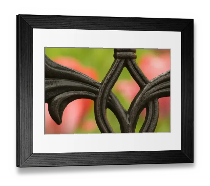 Framed Print : United States, DC, Washington, Franciscan Monastery, wrought iron design with pink Framed Print : United States, DC, Washington, Franciscan Monastery, wrought iron design with pink