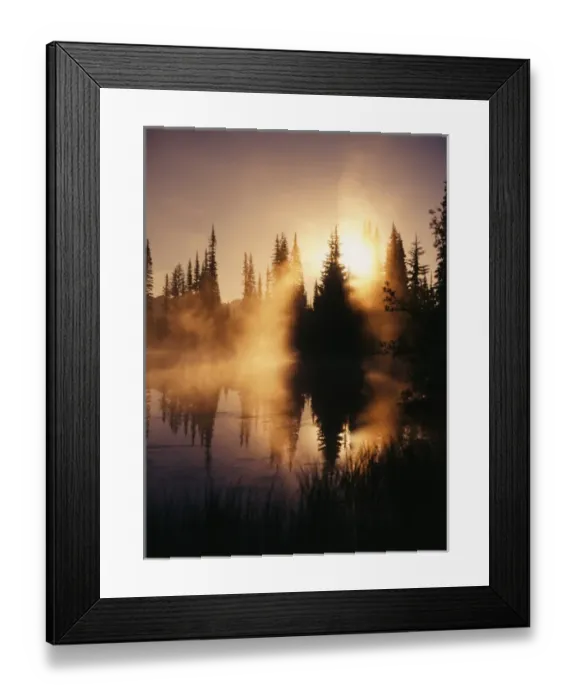 Framed Print : USA, Washington State, Mount Rainier National Park, View of reflection lake covered