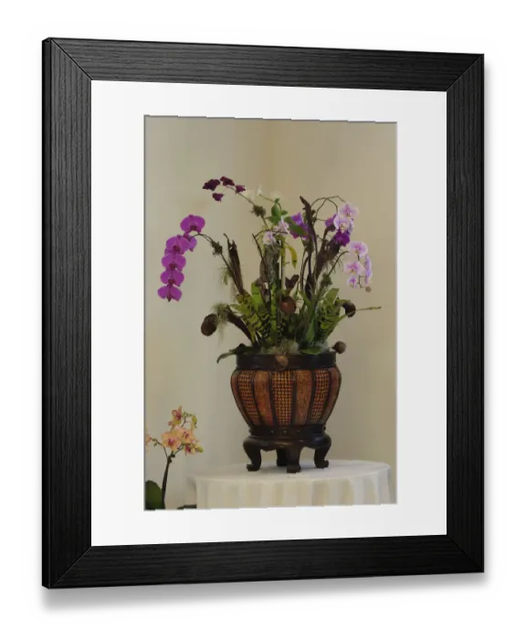 Framed Print : Planter full of orchids, Delray Beach, Florida