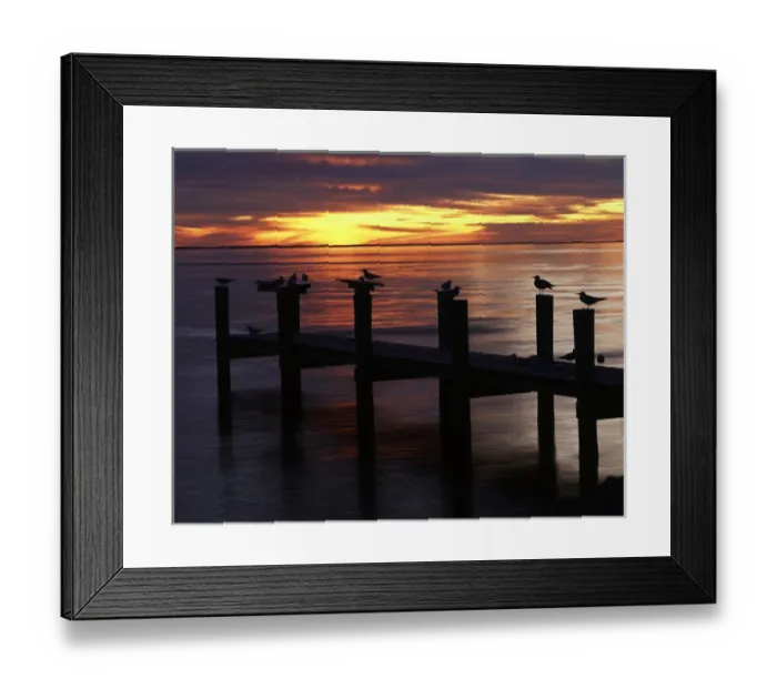 Framed Print : USA, Fort Myers, View of birds on pier at sunset Framed Print : USA, Fort Myers, View of birds on pier at sunset
