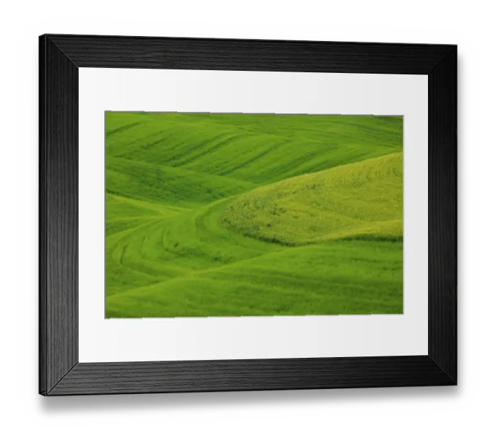 Framed Print : North America, USA, Washington, Palouse Country, Hills of Barley and Wheat Framed Print : North America, USA, Washington, Palouse Country, Hills of Barley and Wheat