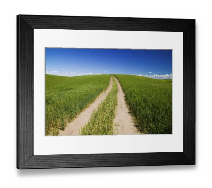 Framed Print : North America, USA, Washington, Palouse Country, Road Leading into the Sky through Wheat Framed Print : North America, USA, Washington, Palouse Country, Road Leading into the Sky through Wheat