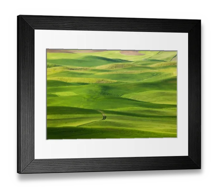 Framed Print : North America, USA, Washington State, Whitman County, S-Pattern Road leading Through Framed Print : North America, USA, Washington State, Whitman County, S-Pattern Road leading Through