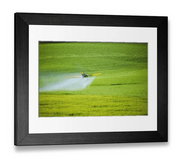 Framed Print : North America, USA, Washington, Palouse Country, Crop Duster working pring Wheat Fields Framed Print : North America, USA, Washington, Palouse Country, Crop Duster working pring Wheat Fields