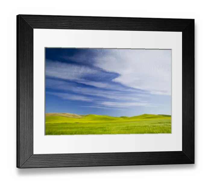Framed Print : NA, USA, Washington, Palouse Counrty, Fresh Spring Barley and Wheat Fields Framed Print : NA, USA, Washington, Palouse Counrty, Fresh Spring Barley and Wheat Fields