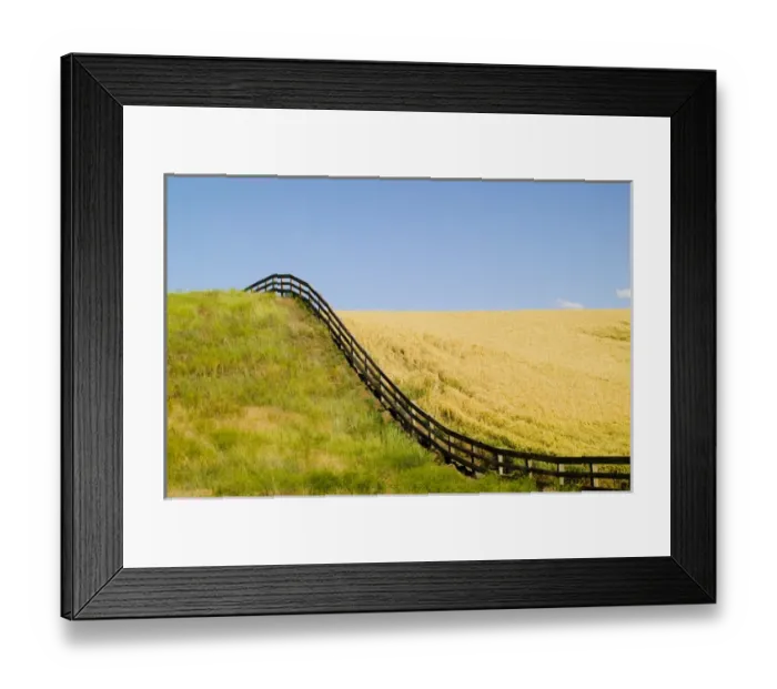 Framed Print : North America, USA, Washington, Palouse Country, Fenceline Rolling over Hillside with Gold Framed Print : North America, USA, Washington, Palouse Country, Fenceline Rolling over Hillside with Gold