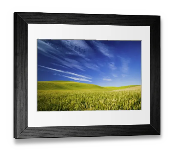 Framed Print : North America, USA, Washington, Spring Wheat Fields With Streaming Clouds
