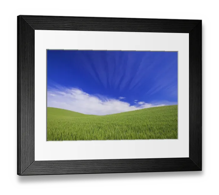 Framed Print : North America, USA, Washington, Palouse Counrty, Rolling Hills of Spring Wheat and Wild Framed Print : North America, USA, Washington, Palouse Counrty, Rolling Hills of Spring Wheat and Wild